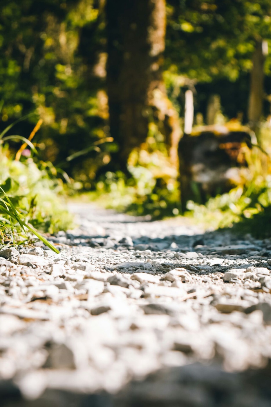Gravel driveway and pathway project