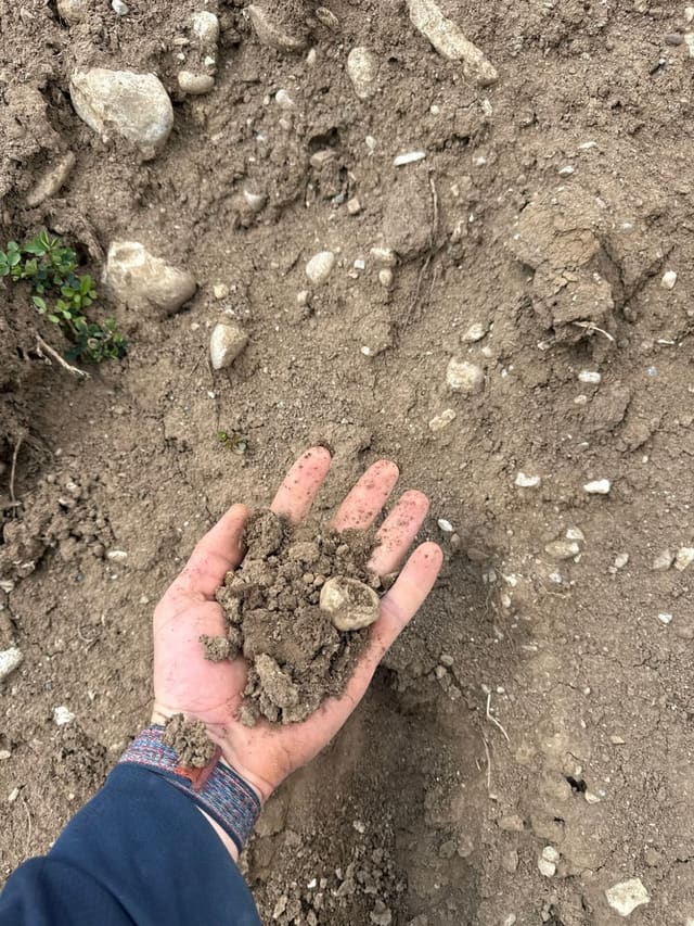 Unscreened Topsoil