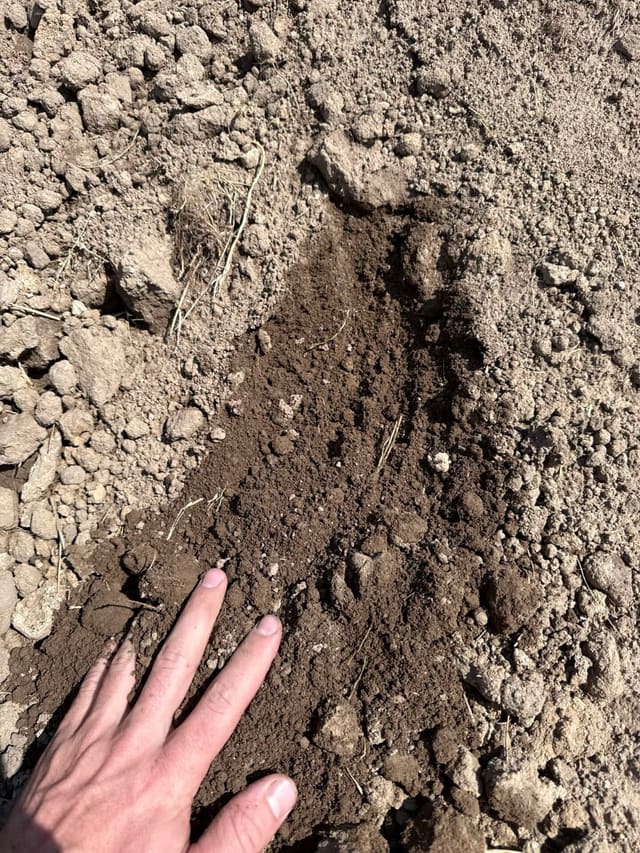 Clean Topsoil