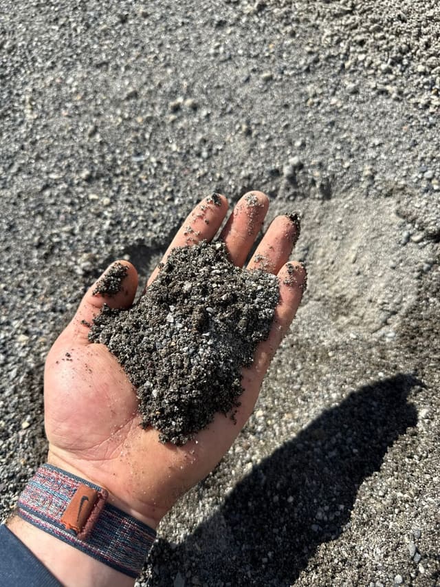 Arena Sand