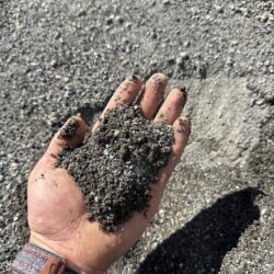 Arena Sand (Reject Sand)