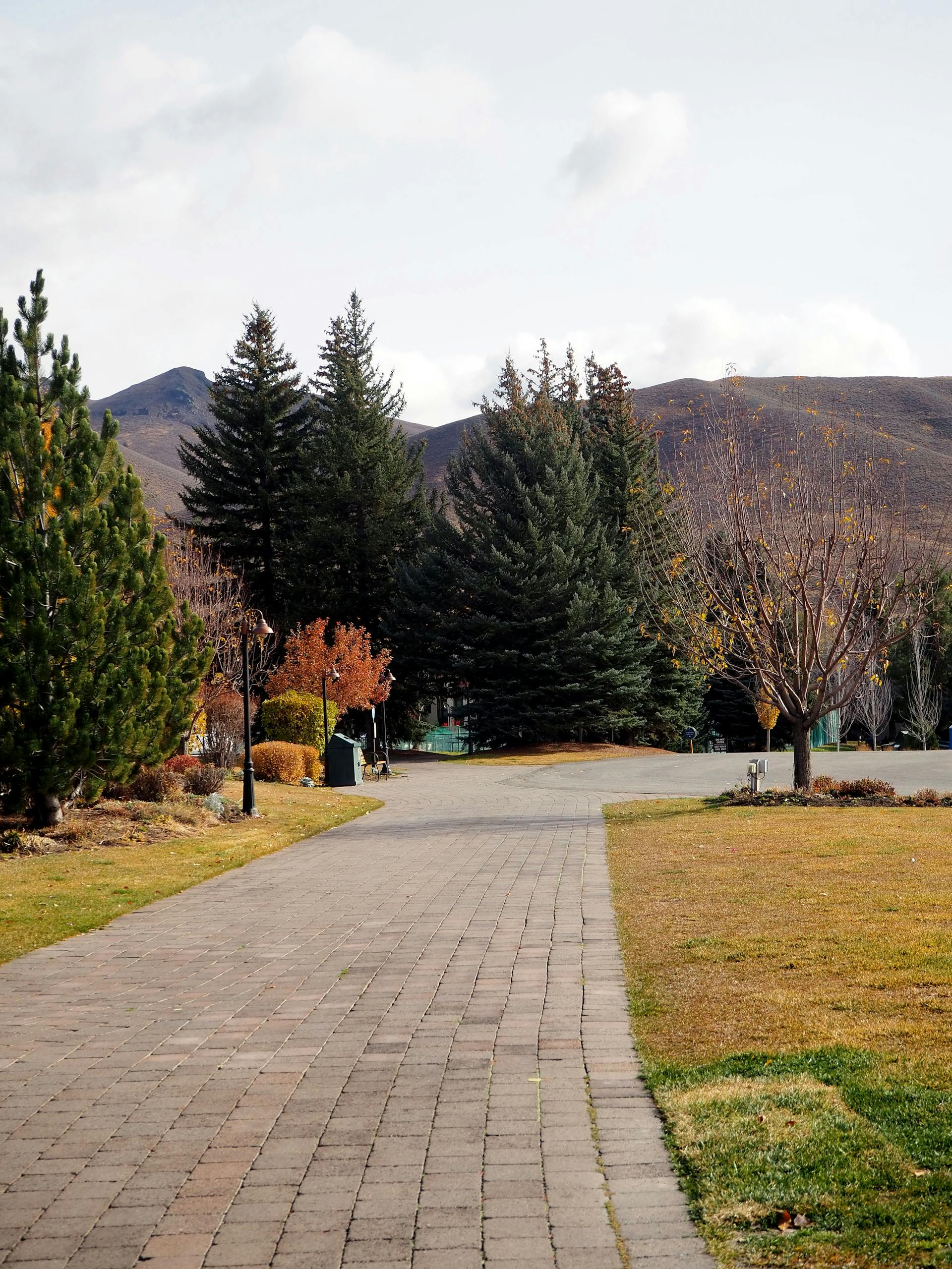 Peaceful autumn pathway surrounded by trees in Idaho, under a clear sky.